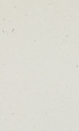4141 Misty Carrera