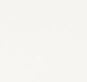 1141 Pure White